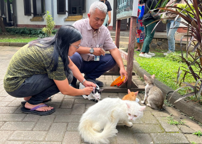 Lawang Sewu Bantah Isu Pembuangan Kucing, Siapkan Kolaborasi Besar dengan Cat Lovers Semarang