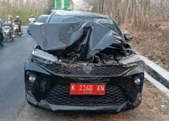 Mobil Siaga Desa Sambong Ringsek Tertimpa Pohon Jati di Jalur Nasional Cepu-Blora