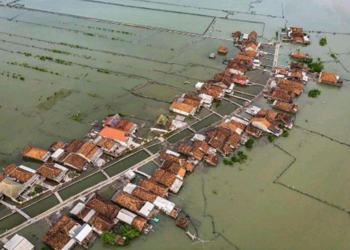 Dulu Sawah dan Tambak Produktif, Kini Timbulsloko Berjuang Menghadapi Laut