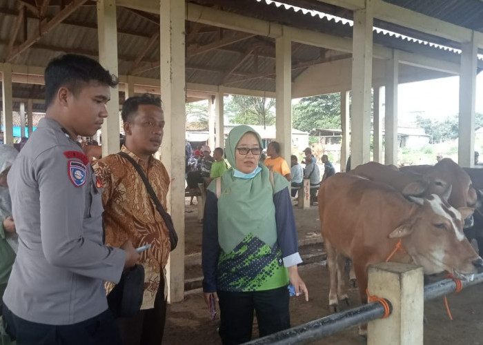 Wabah PMK di Batang, Pemkab Usul Tutup Sementara Pasar Hewan Limpung