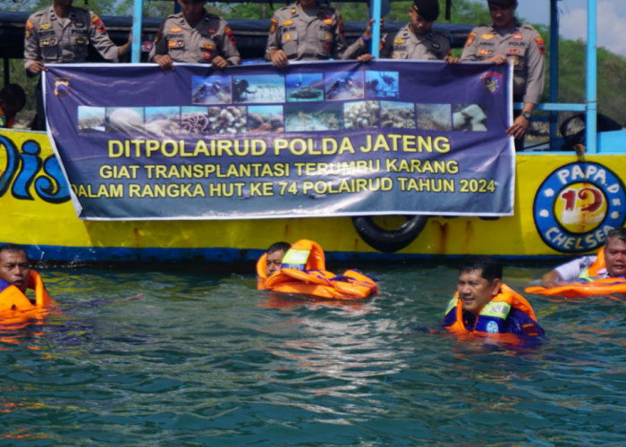 Sambut HUT ke-74, Polairud Polda Jateng Rehabilitasi Terumbu Karang di Karimunjawa