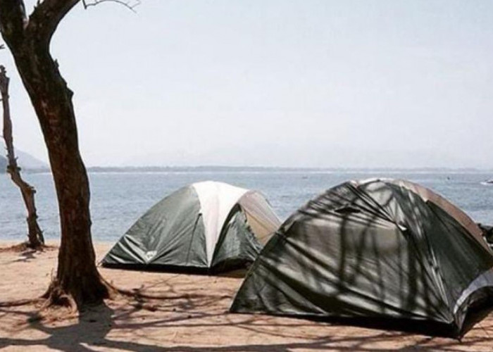 5 Tempat Camping di Jember, Menyajikan Suasana Sejuk dan Pemandangan Menakjubkan