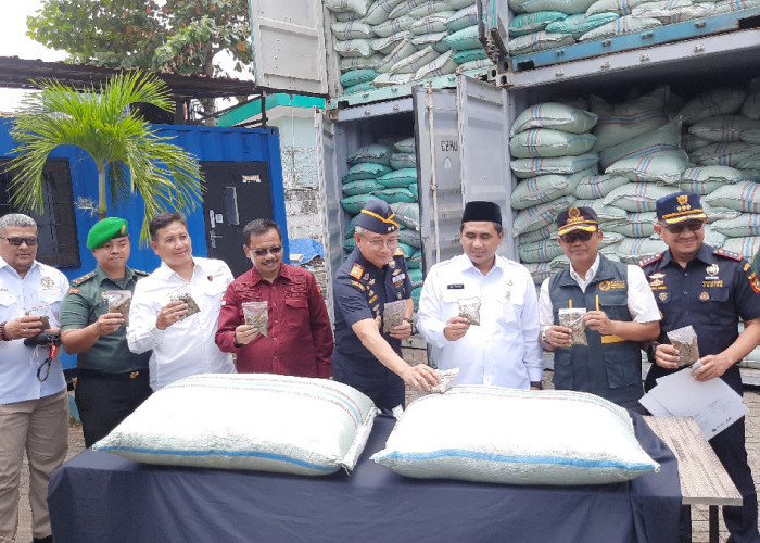 Bea Cukai Gagalkan Ekspor 90 Ton Kratom ke India di Tanjung Emas, Dokumen Dipalsukan