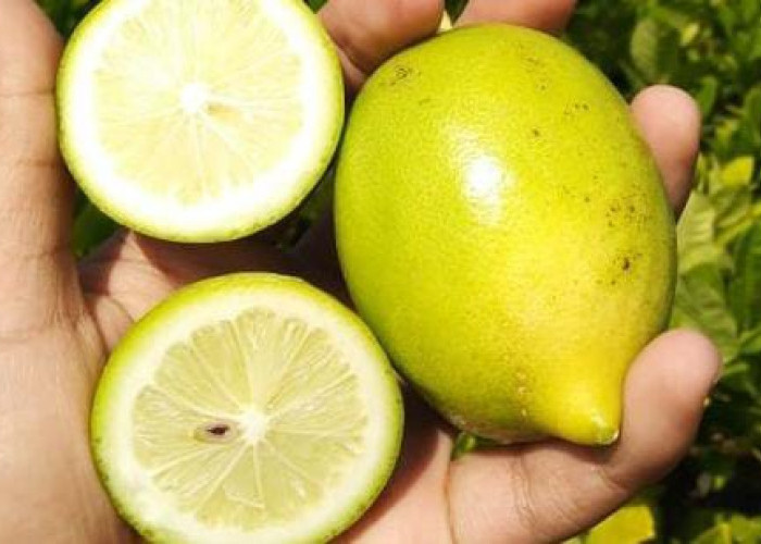 6 Manfaat Air Perasan Lemon Untuk Wajah, Wajah Cerah Berseri