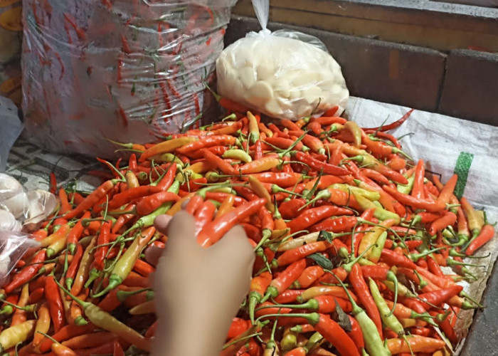 Harga Cabai Meroket hingga Rp70 Ribu, Disperindag Jateng Pastikan Mulai Turun 