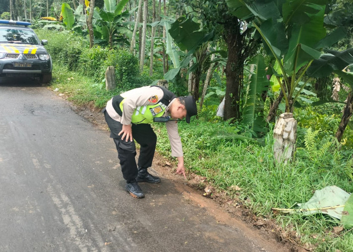 Gagal Salip Kendaraan, Remaja Putri asal Blado Batang Meninggal Dunia  