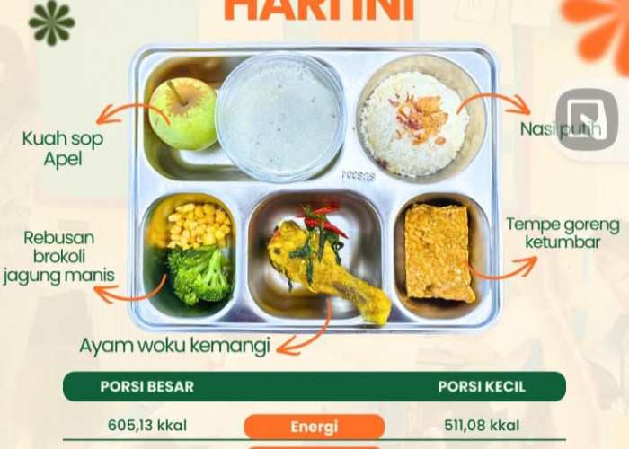 Data Lab MBG Sukorejo 2 dan Keterangan Dinkes Blora Berbeda, Bacillus cereus atau Bacillus sp?