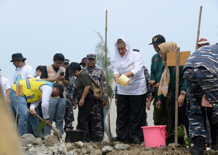 Guna Minimalisir Rob dan Banjir, Pemkot Semarang Tanam 400 Bibit di Area Sheet Pile Tambakmulyo