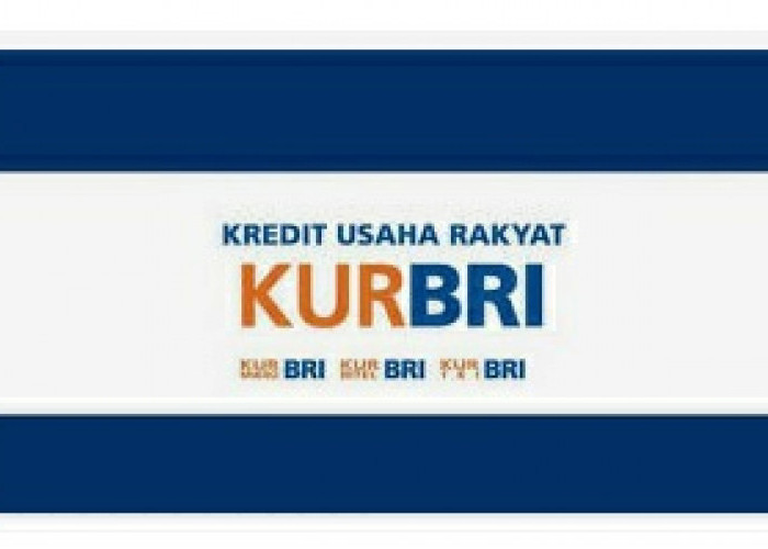 Ingin Pengajuan KUR BRI Cepat Cair, Berikut Panduan Lengkapnya