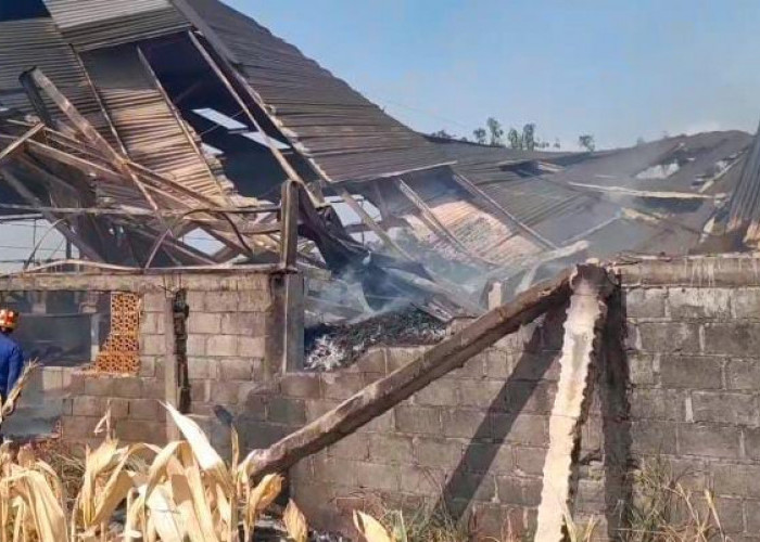Gudang Produksi Berbahaya Kayu di Banyudono Boyolali Terbakar, 90 Persen Bangunan Hangus