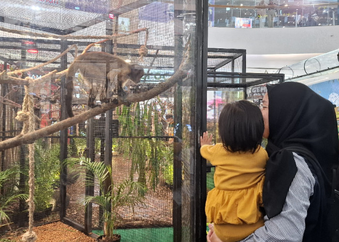 350 Satwa Gembira Loka Serbu The Park Semarang