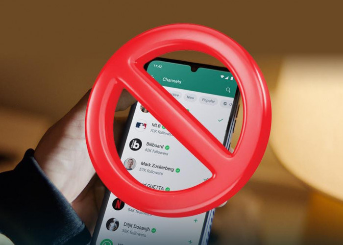 7 Alasan WhatsApp Dilarang di Beberapa Negara