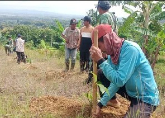 Rusaknya Alam Pegunungan Kendeng Dibidik TMMD Kodim Pati