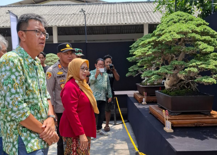 Pembukaan Rembang Imagination 2026: Pameran Bonsai Nasional Dorong Pariwisata dan Ekonomi Kreatif Rembang