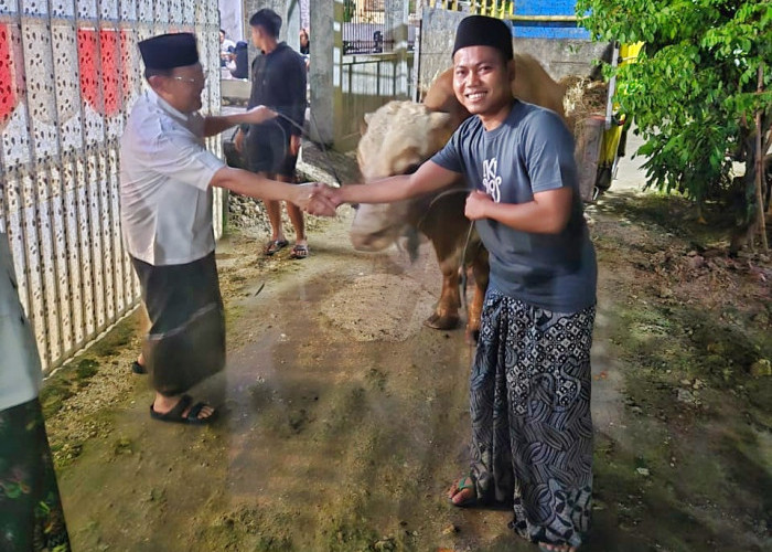 IdulAdha 1446 H, Presiden Prabowo Qurban Empat Ekor Sapi untuk Masyarakat Grobogan