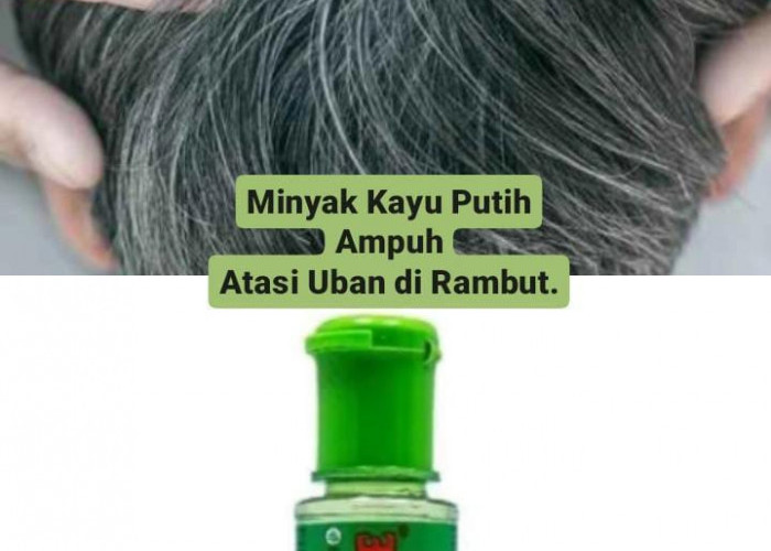 Tips Mengatasi Rambut Uban dengan Minyak Kayu Putih, di Jamin Uban Hilang!