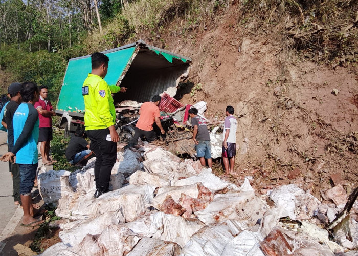 Diduga Rem Blong, Truk Boks Frozen Food Tabrak Tebing di Tersono Batang, Sopir Tewas di Lokasi