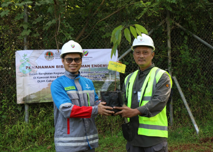 Hari Bhakti Rimbawan, PLTU Batang Tanam Pohon Langka di Area Reforestasi