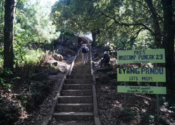 Pendaki Asal Rembang Meninggal Dunia di Puncak 29 Muria