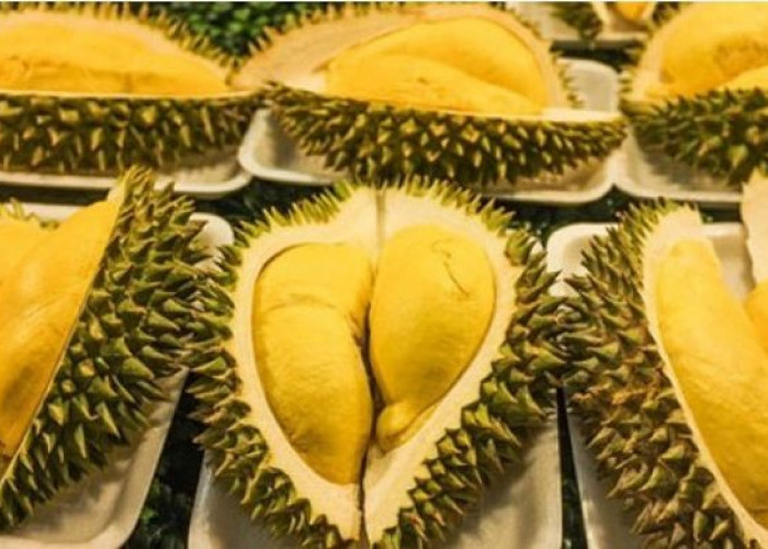 Cara Memilih Durian Matang dan Manis: 7 Tips Ampuh yang Wajib Kamu Tahu