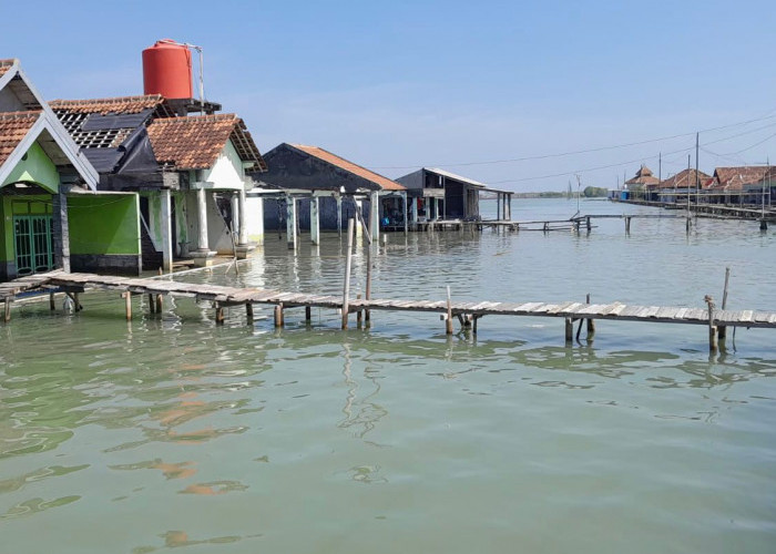 Fenomena Banjir Rob, BMKG: Masyarakat Pesisir Diimbau Waspada 