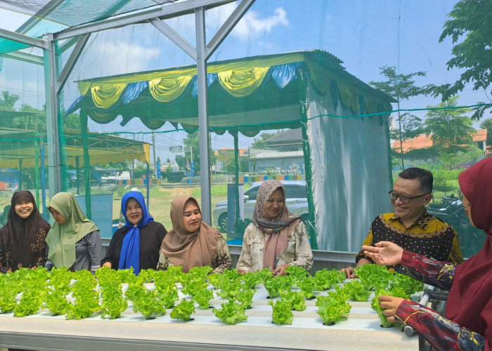 Dukung Program Ketahanan Pangan, PNM Tegal Bangun  Greendhause Rumah Pangan PNM