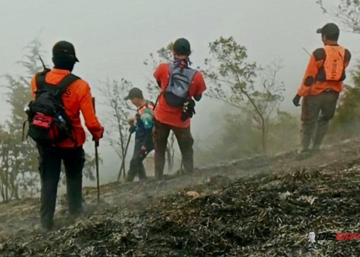 Angin Kencang dan Jurang Hadang Relawan Padamkan Karhutla Gunung Sumbing, Api Akhirnya Padam
