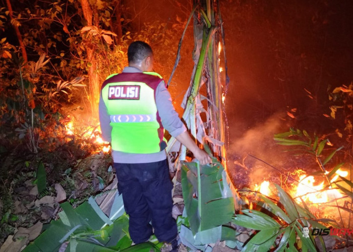 Api Bakar 1,4 Hektare Hutan Jati di Ayah Kebumen, Permukiman Warga Terancam