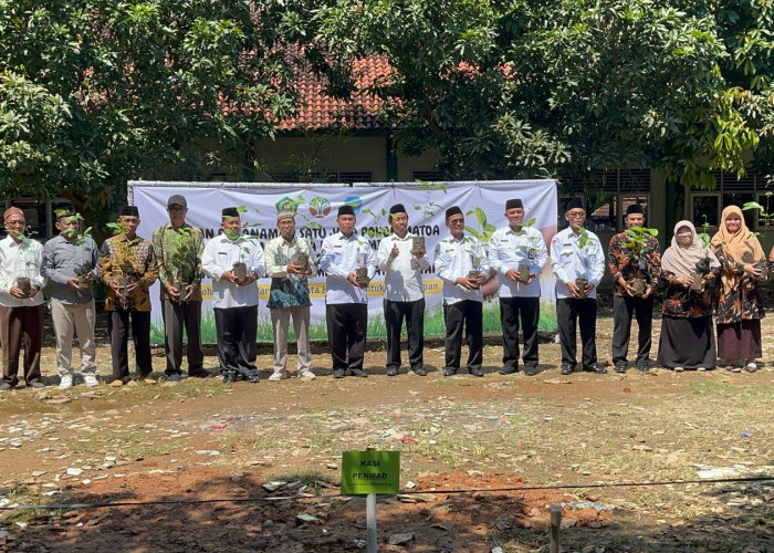 Hari Bumi, Kemenag Batang Tanam 1.000 Matoa di Berbagai Madrasah