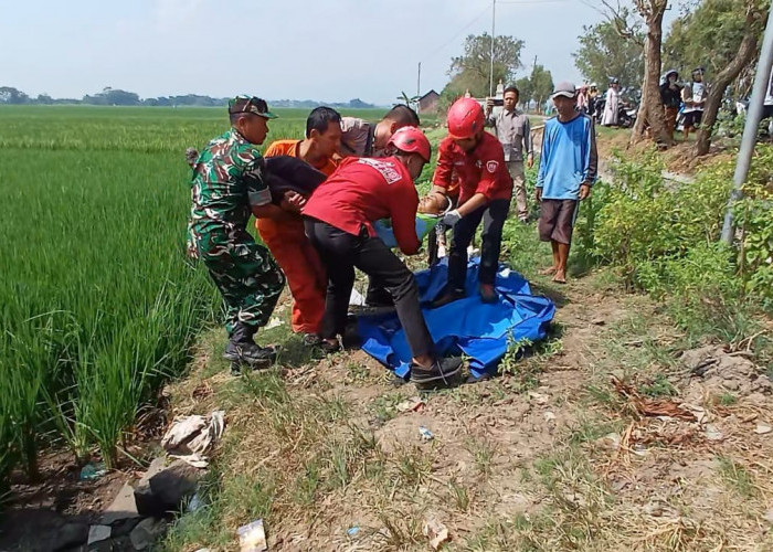 Tak Ada Kapoknya ! Petani Kembali Tewas Gegara Perangkap Tikus Beraliran Listrik