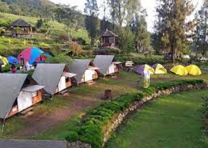 5 Rekomendasi Tempat Glamping di Temanggung dengan View Alam yang Bikin Fresh, Cocok buat Healing Akhir Pekan!