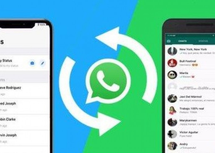 Cara Mudah Backup WhatsApp untuk Mencegah Chat Loss saat Berganti Ponsel