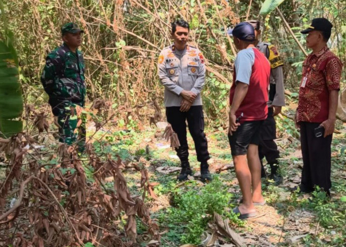 Bayi Laki-laki Ditemukan Tengkurap di Pekarangan Kosong Perum Banpres Semarang, Polisi Cek CCTV