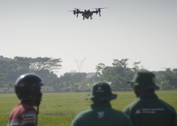 Drone Bikin Petani Batang Tak Lagi Mandi Pestisida, Semprot Sawah Cuma 30 Menit