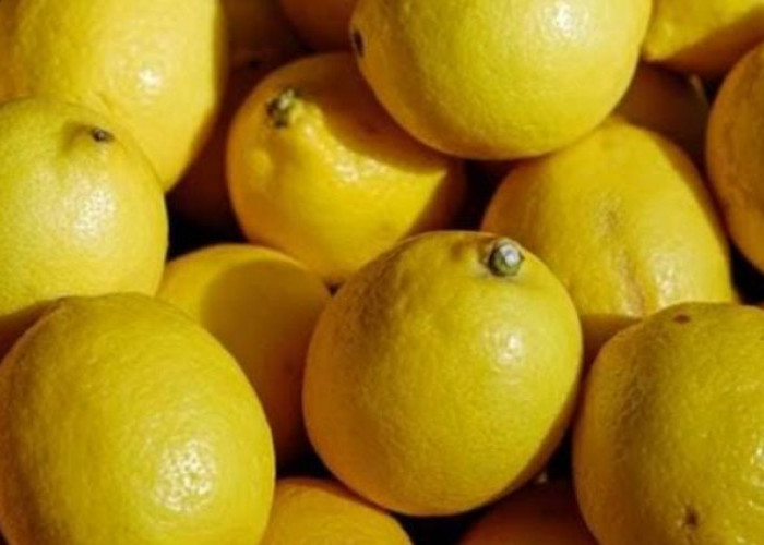 Inilah 12 Manfaat Buah Lemon yang Baik Untuk Kesehatan
