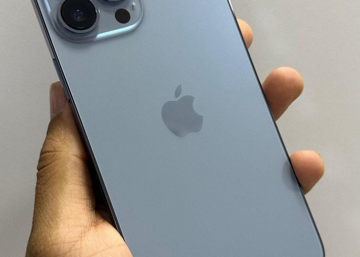 5 Alasan Mengapa iPhone 13 Pro Max Menjadi Smartphone Pilihan Terbaik Pecinta Fotografi dan Video