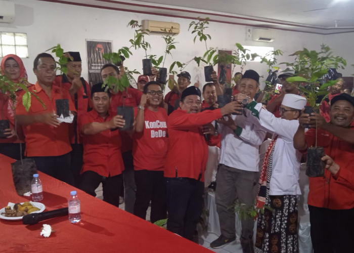 Instruksi Megawati Dijawab Aksi, PDI Perjuangan Kabupaten Batang Tanam 500 Pohon Matoa