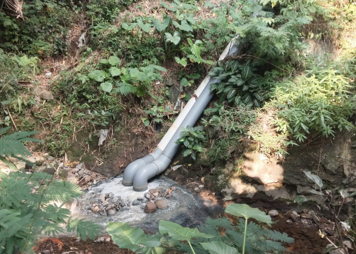 Dugaan Pencemaran Lingkungan oleh Damatex: DLH Salatiga Temukan Fakta Air Sungai Tritis Berbau dan Keruh