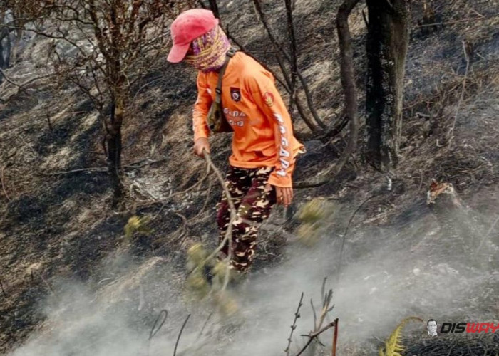 Karhutla Gunung Sumbing Berulang, Warga Minta Embung hingga Drone untuk Cegah Api Meluas