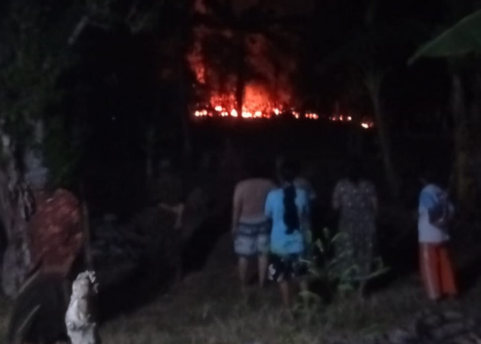 Lahan Pekarangan Rumah Terbakar, Api Diduga dari Puntung Rokok yang Dibuang Sembarangan