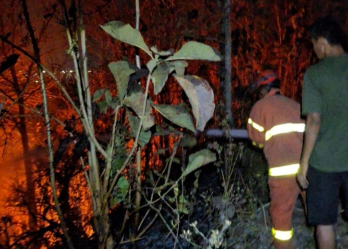 Kebakaran Lahan di Gunung Tugel Kutoarjo Bikin Warga Panik, Api Merembet ke Kawasan Pohon Jati
