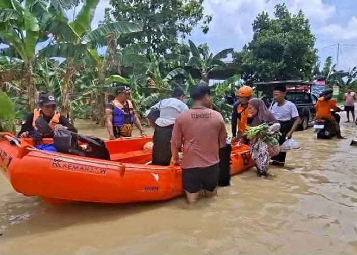 Banjir Rendam 4 Kecamatan di Demak, 4.280 Warga Terdampak dan Satu Korban Hilang