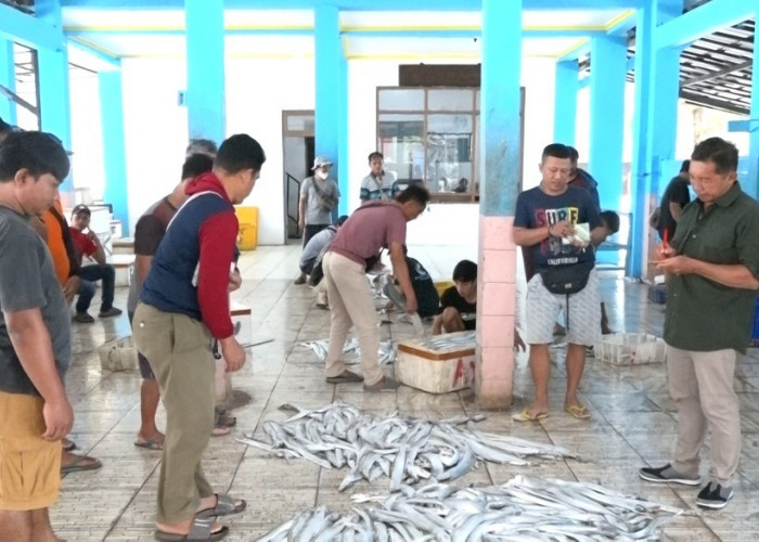 Musim Ikan Layur Datang, Pelelangan di TPI Karangduwur Kebumen Ramai, Produksi Capai Rp5,4 Miliar per Bulan