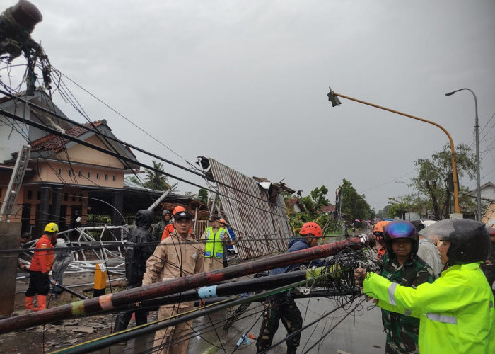 Hujan dan Angin Kencang Terjang Kesesi, Rusak Atap Sekolah Hingga Robohkan Tiang Listrik