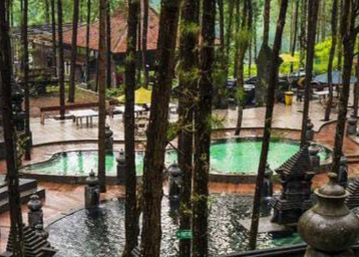 Guci Forest: Ini Dia Salah Satu Tempat Wisata yang Menarik di Tegal