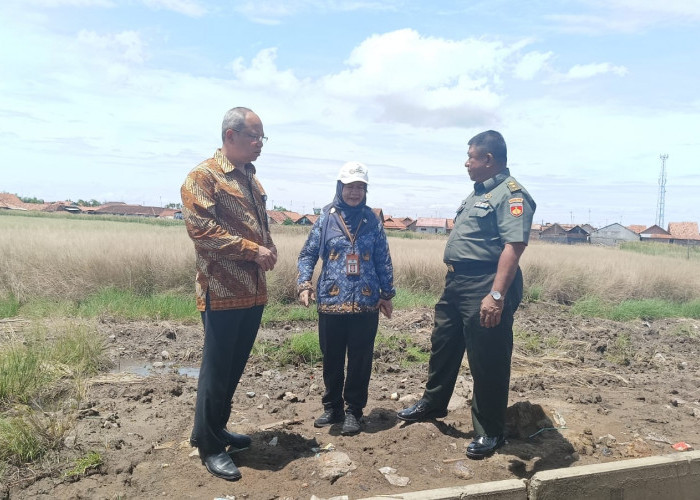 Hidupkan Eks Lahan Rob Pekalongan, BI Tegal Ujicoba Padi Biosalin di Degayu 