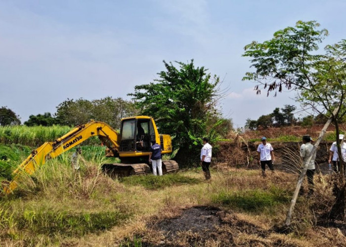 Lahan Sawah Dilindungi di Jepara Dikeduk Tambang Liar, Ekskavator Disembunyikan Usai Keruk 2.800 M³ Tanah