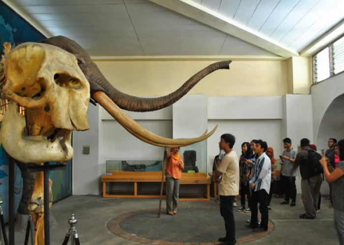 Museum Ranggawarsita: Memperjalankan Warisan Sejarah dan Budaya di Semarang