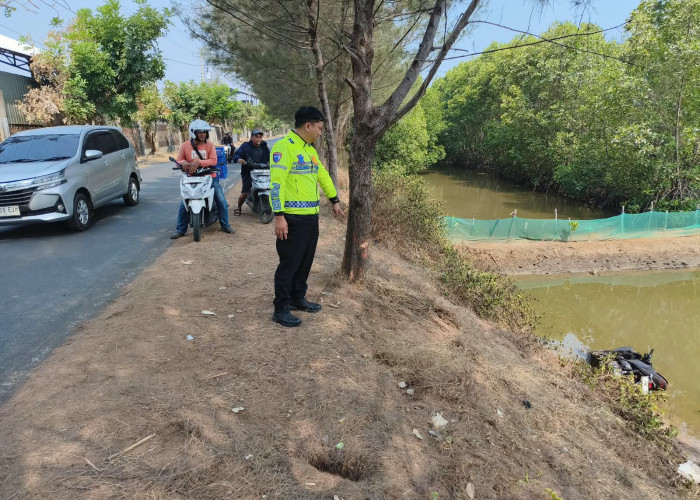 Vario Tabrak Pohon hingga Masuk Tambak di Sigandu Batang , Pengendara Tewas