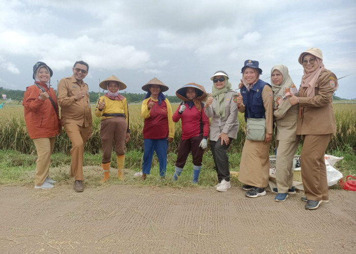 Produksi Padi 177 Ribu Ton GKG, Kabupaten Batang Jaga Swasembada Pangan